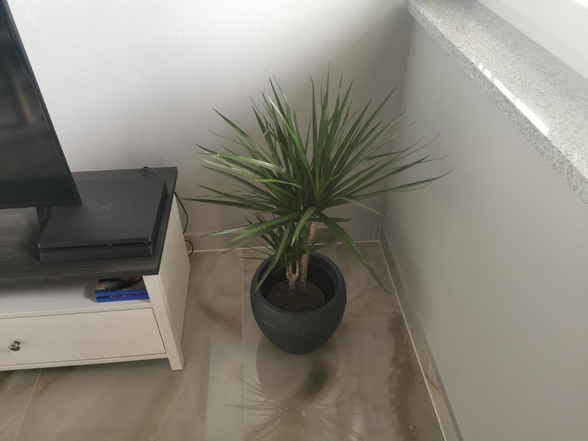 Apartment Luki Повиле Екстериор снимка